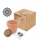 Maceta terracota semillas GIRASOL