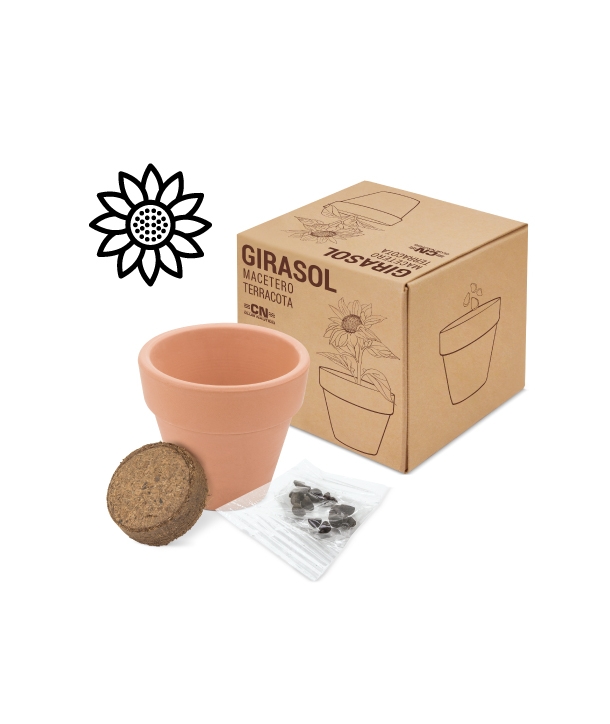 Maceta terracota semillas GIRASOL
