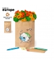 Maceta presentado en bolsa de papel reciclado