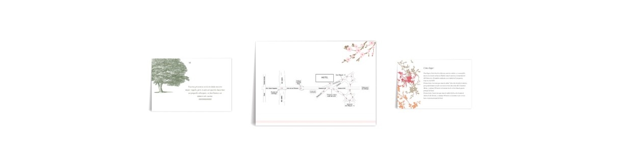Tarjeta información extra y Mapa